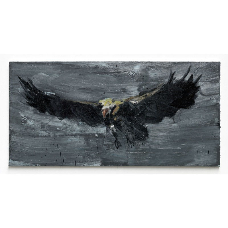 MASSIMODECARLO – Raptor